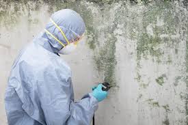 Forensic Mold Investigation in Colfax, CA